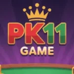 PK11 Game